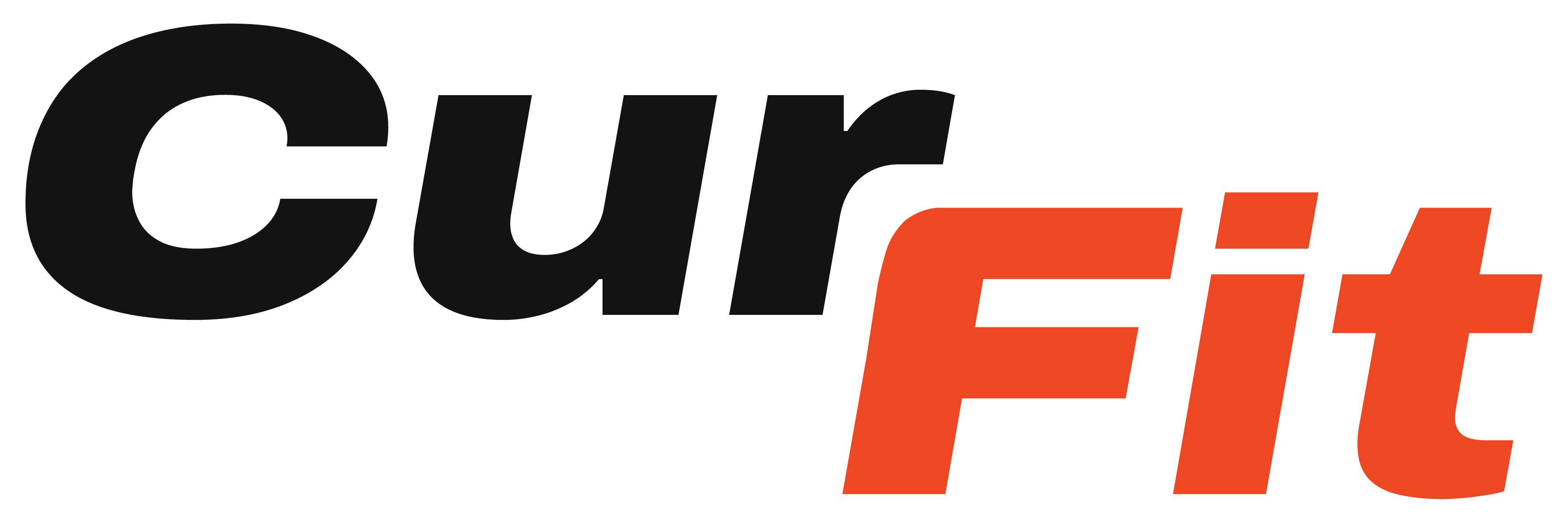 CurFit - Centro de Formação para Profissionais da Atividade Física