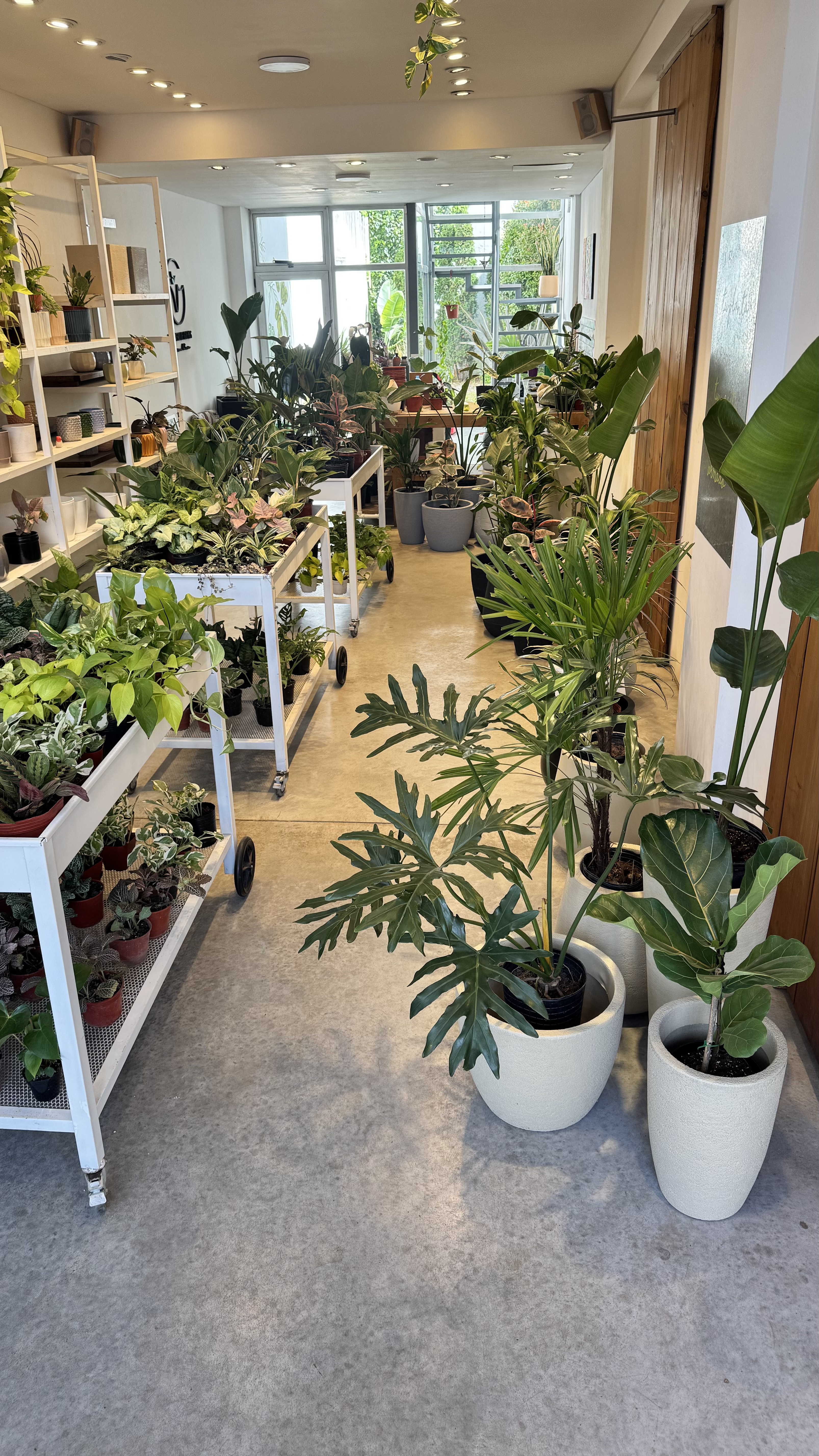showcase-image