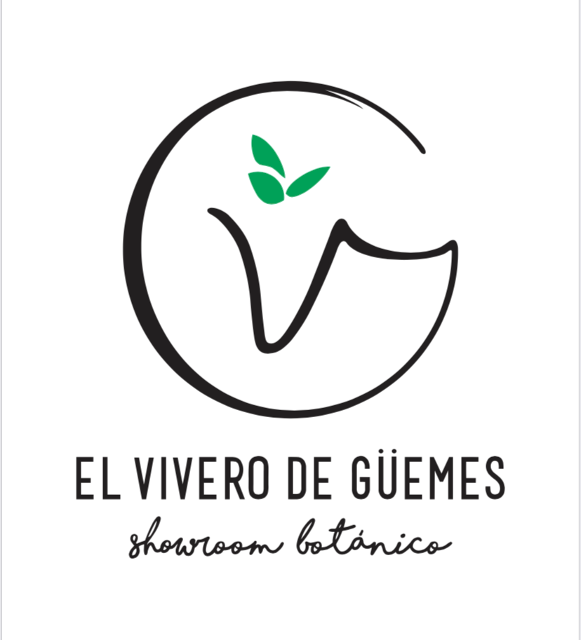 elviverodeguemes