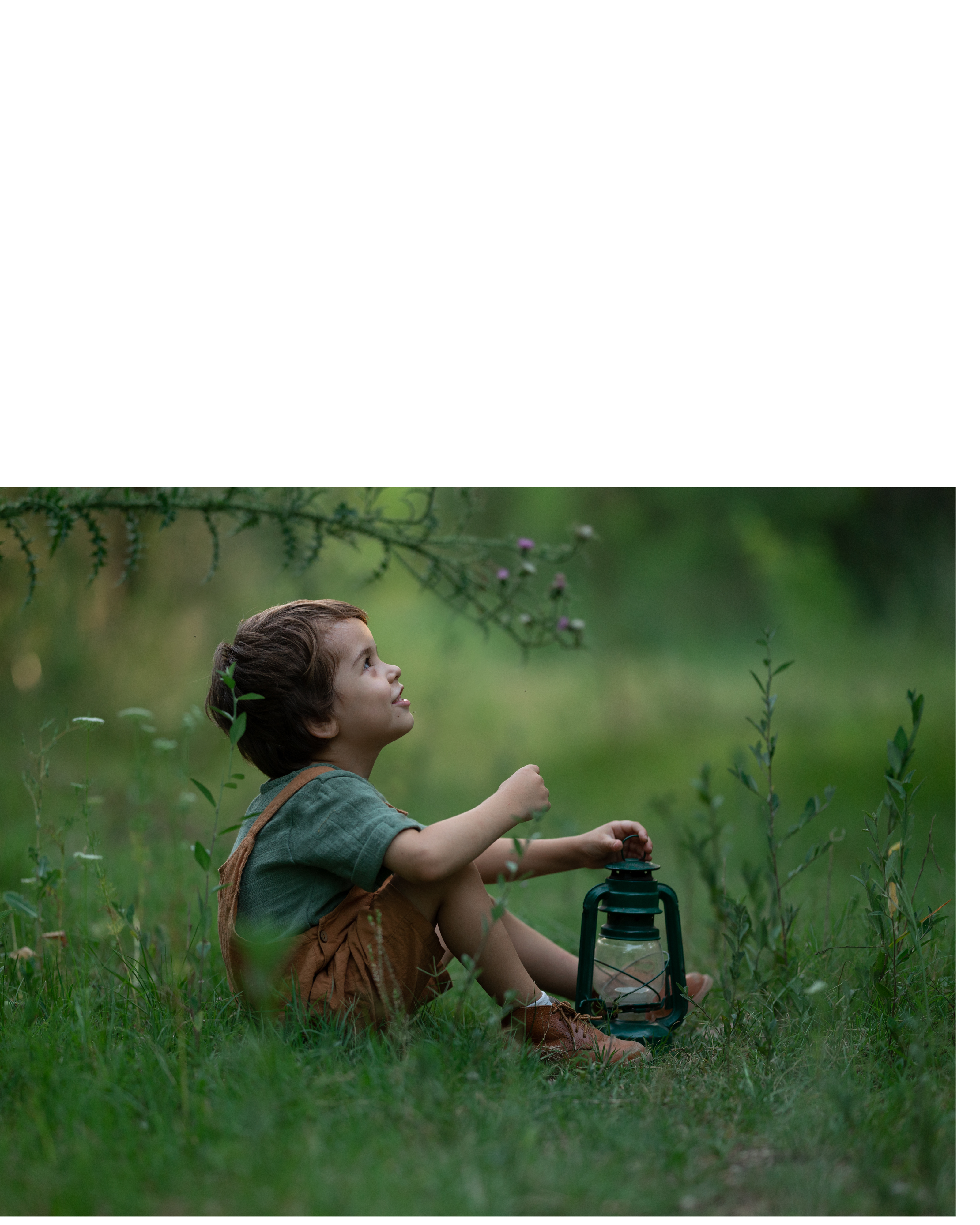 showcase-image